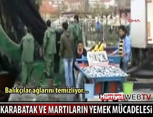 BUNLAR BANDIRMA LİMANI'NDA OLDU