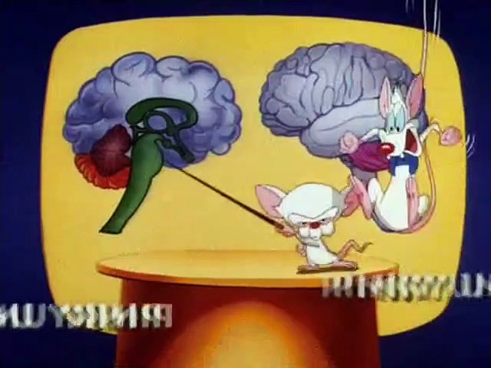 Pinky & der Brain Staffel 1 Folge 13 HD Deutsch