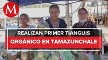 Iberdrola México realiza el primer tianguis orgánico en Tamazunchale