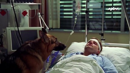 Kommissar Rex Staffel 10 Folge 2 HD Deutsch