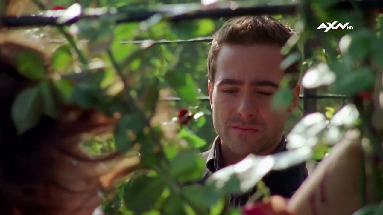 Kommissar rex staffel 9 folge 11 hd deutsch