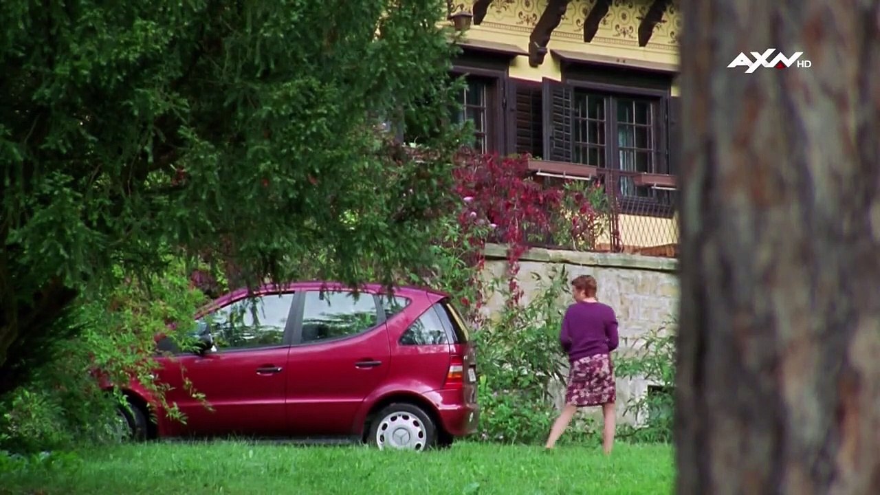 Kommissar Rex Staffel 9 Folge 10 HD Deutsch