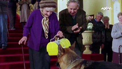 Kommissar Rex Staffel 9 Folge 13 HD Deutsch