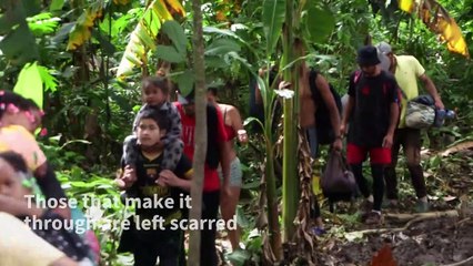 'An endless nightmare': migrants cross the Darien Gap jungle to reach US