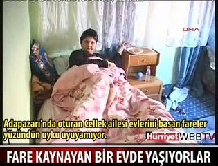 FARELİ EVDE YAŞIYORLAR