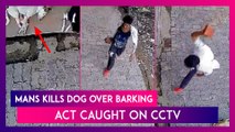 Shocking Video: Upset Over Barking, Kanpur Man Kills Dog With Brick, Arrested; Act Caught On CCTV