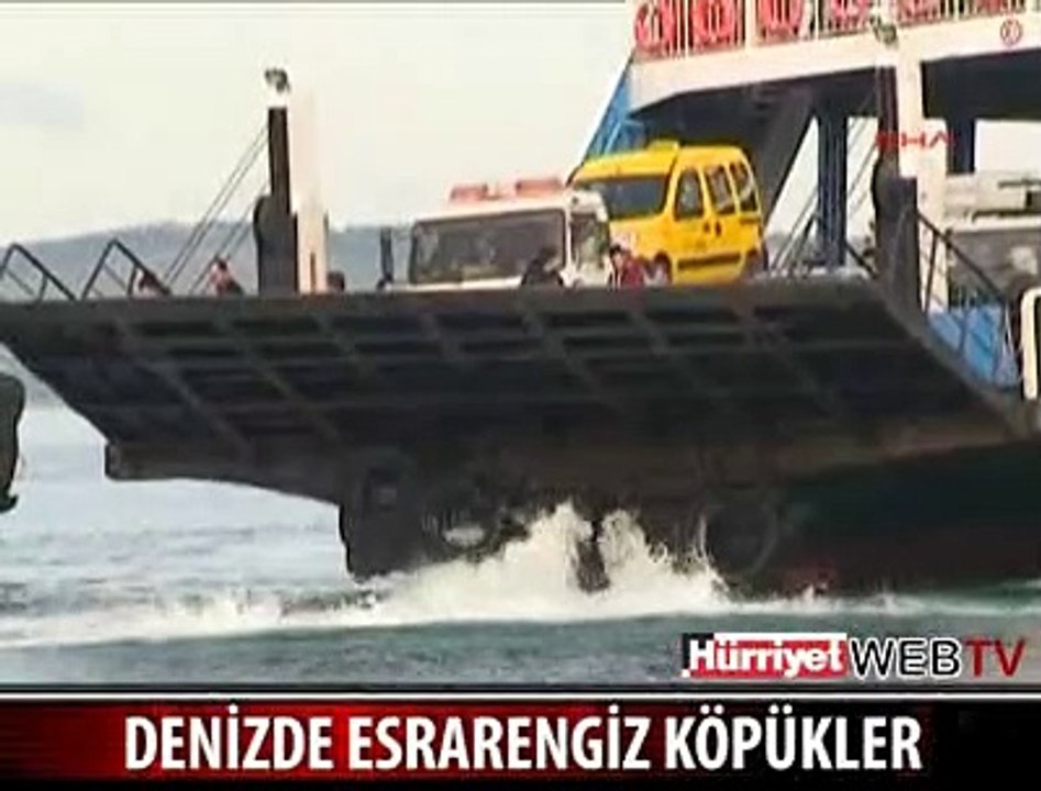 BİLİM ADAMLARI NEREDE