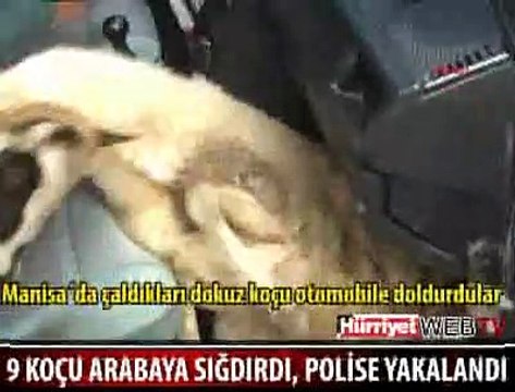 PES Kİ NE PES YANİ