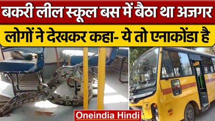 Raibareli में School Bus के इंजन में छिपा था अजगर IFS ने शेयर किया वीडियो | वनइंडिया हिंदी |*News