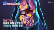 지방 축적을 억제해 다이어트에도 도움 주는 효자템 TV CHOSUN 20221017 방송