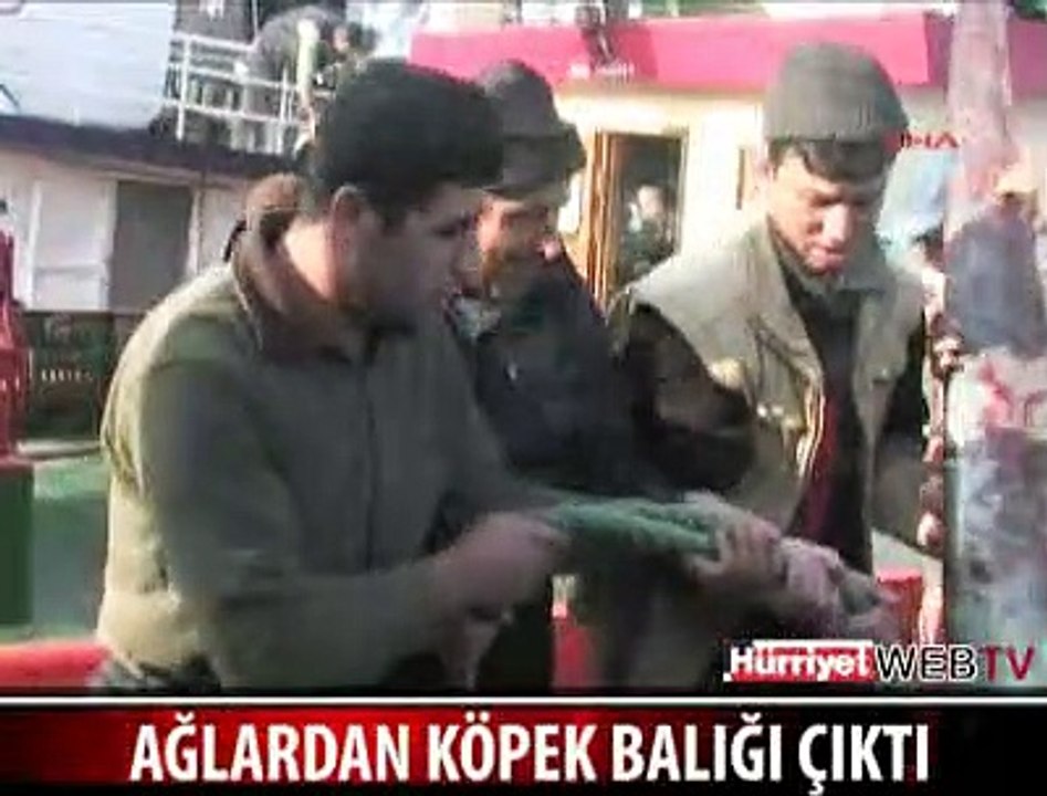 AĞLARA JAWS TAKILDI
