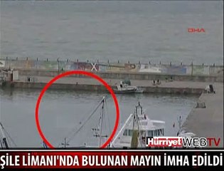 MAYIN İMHA EDİLDİ