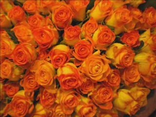 Pka Instrumental Khmer Music