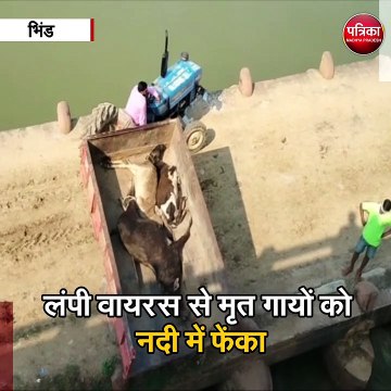 नगर पालिका की बड़ी लापरवाही का वीडियो