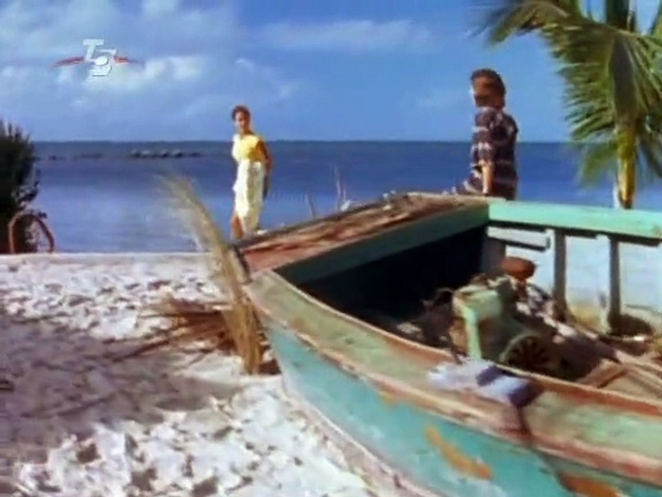 Flippers neue Abenteuer Staffel 1 Folge 1 HD Deutsch