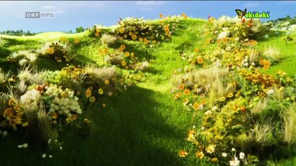 Teletubbies Staffel 1 Folge 45 HD Deutsch