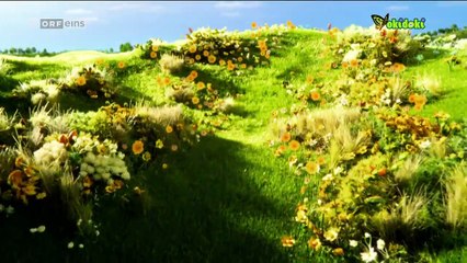 Teletubbies Staffel 1 Folge 54 HD Deutsch