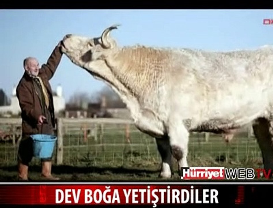 YE YE BİTMEZ.(!!)
