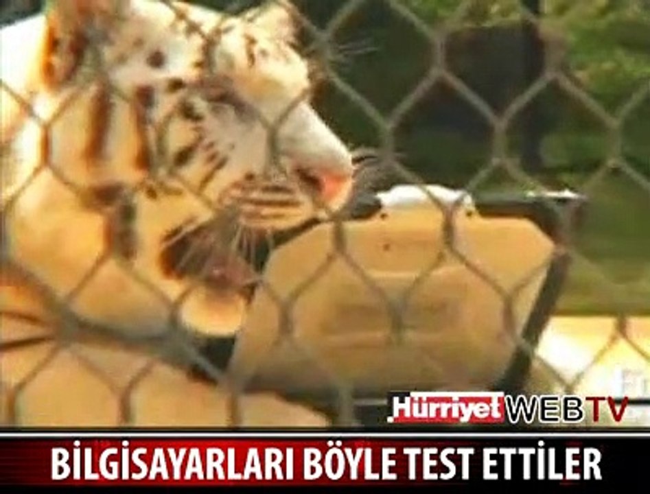 SAĞLAMLIK TESTİ