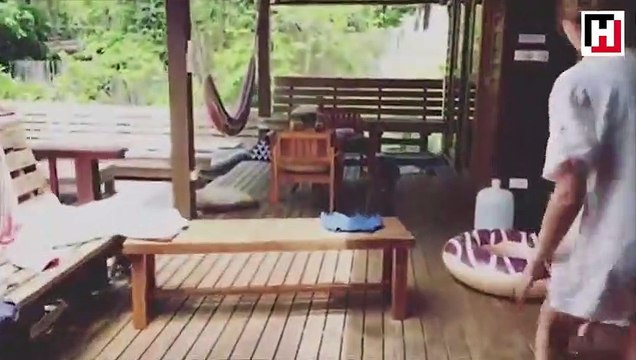 Tuba Ünsal’ın Tayland’taki odasını maymunlar bastı!