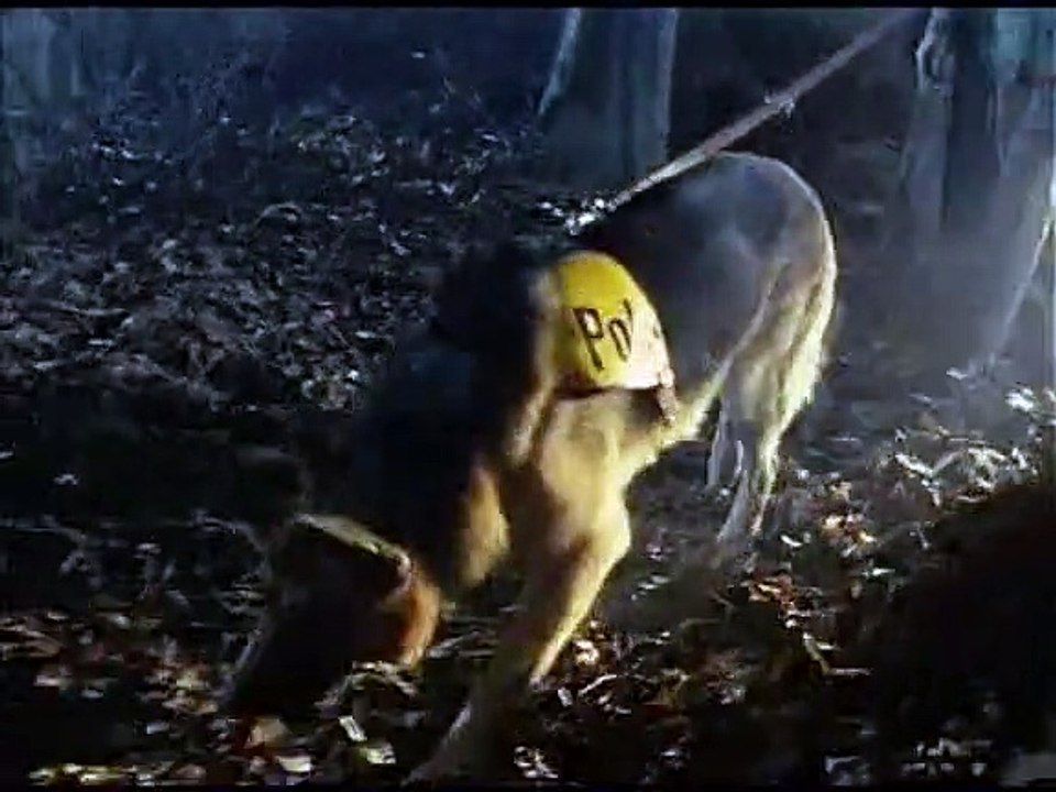 Derrick Staffel 1 Folge 177 HD Deutsch