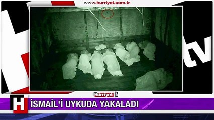 İsmail Baki'yi uykuda yakaladı