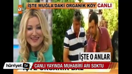 Zahide Yetiş'in programında muhabiri canlı yayında arı soktu