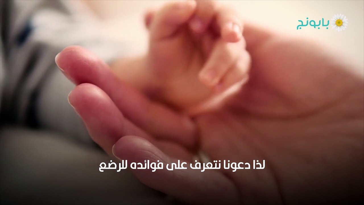 فوائد حمض الفوليك