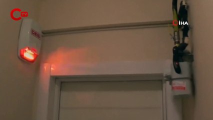 Merdiven boşluğuna düşen baykuşu böyle kurtardı