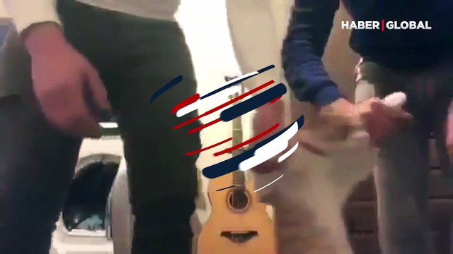 'Horon tepen' kedi videosu sosyal medyada gündem oldu... İşte o anlar