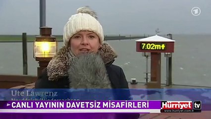HAVA DURUMUNU SUNARKEN BAKIN NE OLDU