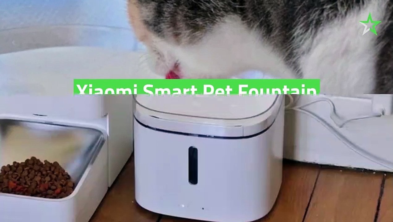 Test Xiaomi Smart Pet Fountain : un abreuvoir connecté qui ne fait pas trop de vagues