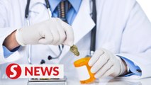 Cannabis-based meds proven safe and effective can be registered