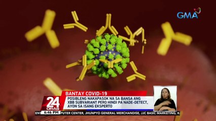 Posibleng nakapasok na sa bansa ang XBB subvariant pero hindi pa nade-detect, ayon sa isang eksperto | 24 Oras