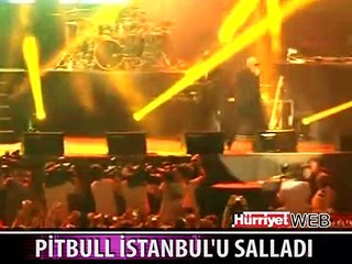 PİTBULL İSTANBUL'U SALLADI