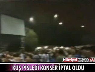 AĞZINA KUŞ PİSLEDİ