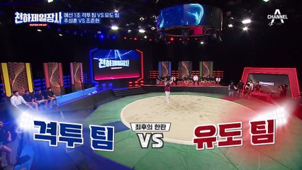 !또 다시 만난 적수 추성훈 VS 조준현! 승리의 기쁨을 누릴 팀은 유도 팀? 격투 팀?