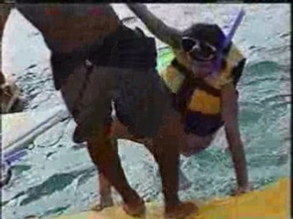 Jungle Tour (Marina Sunrise) Cancun