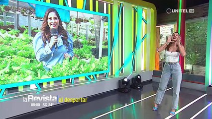 Video herunterladen: Lechugas cultivadas sin tierra, una alternativa limpia y ecológica para el consumo