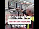 Chateau-Arnoux : Les oiseaux exotiques à l'honneur