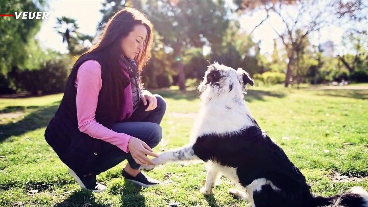 Different ‘Pet Parenting Styles’ Can Drastically Impact Your Dog’s Eventual Resilience, Sociability and Security