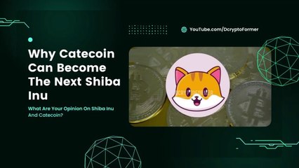 How Catecoin Changed The Game This Year Why Catecoin Can Become The Next Shibainu? #shibainu #crypto