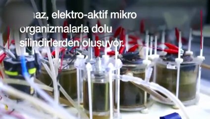 İdrarla cep telefonu şarj eden cihaz