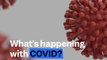 What's going on with Covid-19 explained