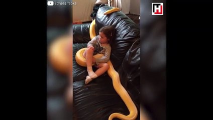 Pitona sarılıp televizyon izleyen küçük kız!