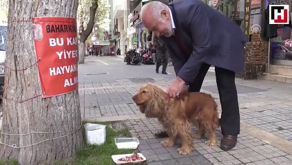 Sokak hayvanlarına evlat şefkatiyle bakıyor