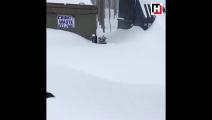 Hayatta herkesin böyle bir dostu olmalı!