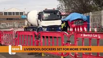 Liverpool dock workers set for more strikes  - LiverpoolWorld news bulletin