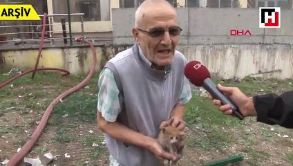 Huzurevi yangınında kedileri kurtarırken görüntülenmişti, odasında ölü bulundu