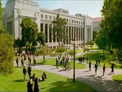 KATİL KÖPEK BALIĞI